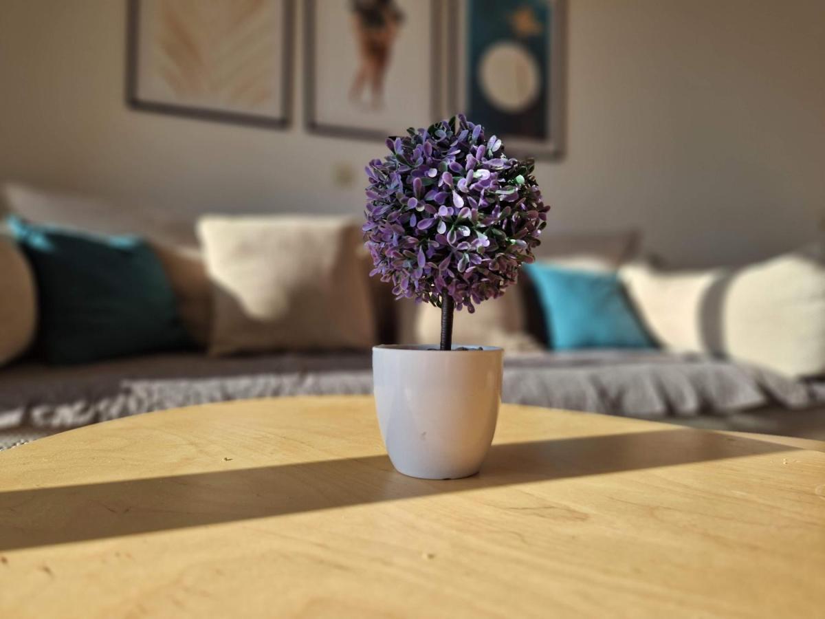 City Apartment Sanja Makarska Extérieur photo